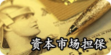 资本市场担保